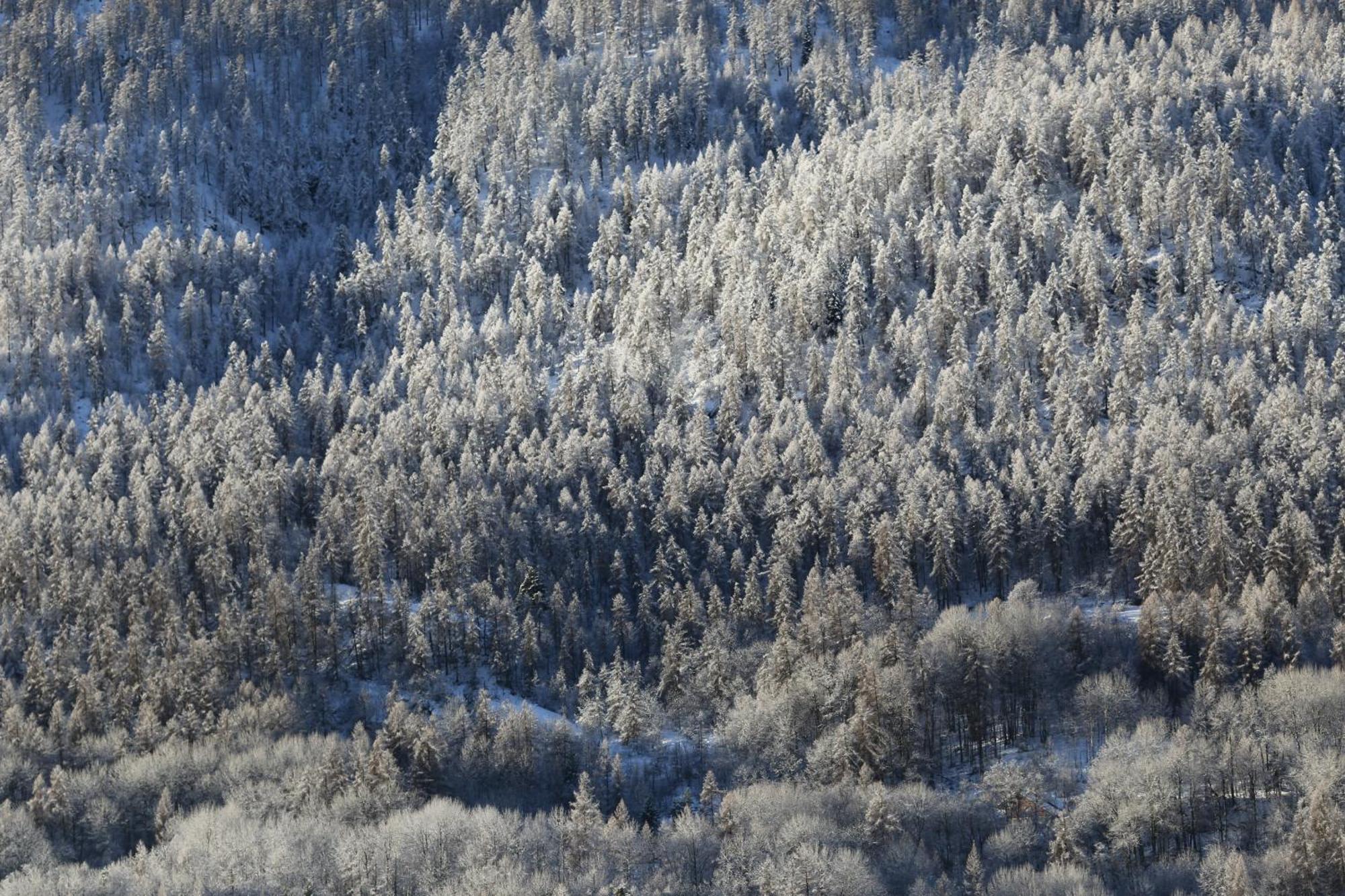 Maison De Montagne Serre Chevalier 圣沙夫雷 外观 照片